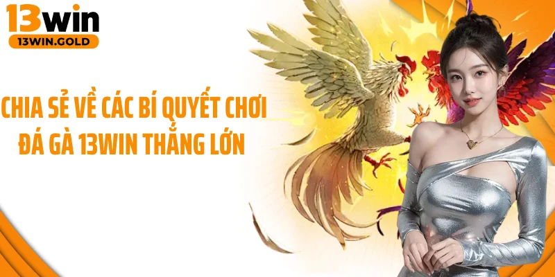 Chia sẻ về các bí quyết chơi đá gà 13Win thắng lớn