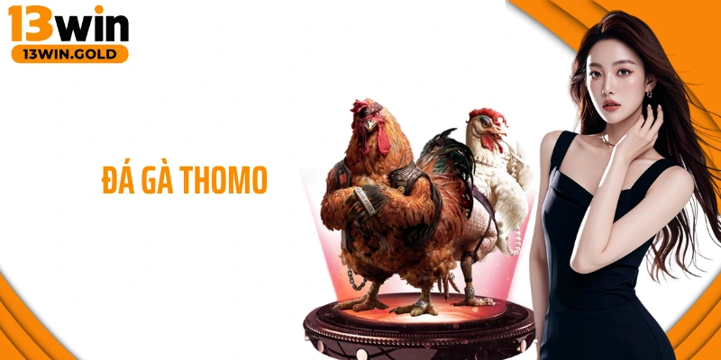 Đá Gà Thomo