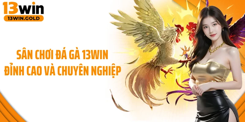 Sân chơi đá gà 13Win đỉnh cao và chuyên nghiệp