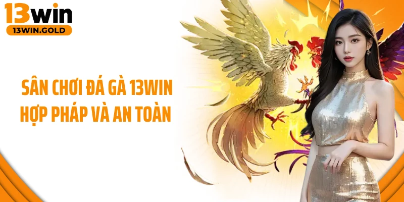 Sân chơi đá gà 13Win hợp pháp và an toàn