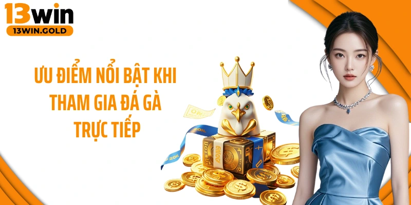 Ưu điểm nổi bật khi tham gia đá gà trực tiếp